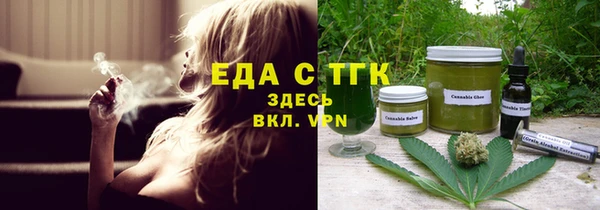 индика Верхний Тагил