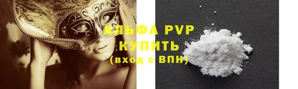 индика Верхний Тагил