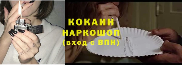 индика Верхний Тагил