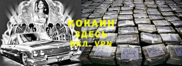 индика Верхний Тагил