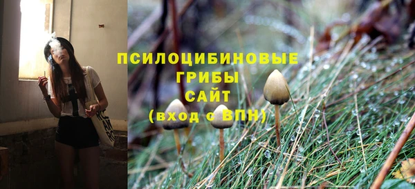 индика Верхний Тагил