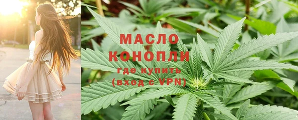 индика Верхний Тагил