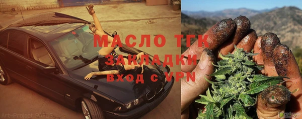 индика Верхний Тагил