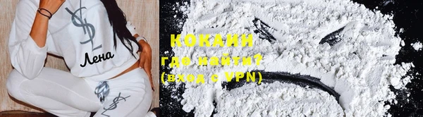 индика Верхний Тагил